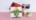 Personalised Rigid gift boxes with lids