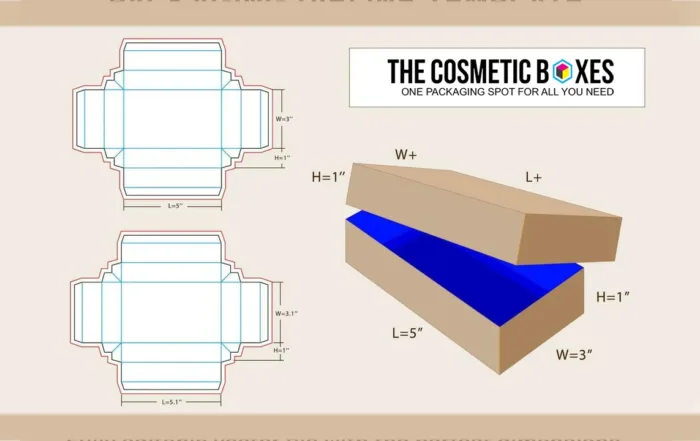 shoe box size dimensions