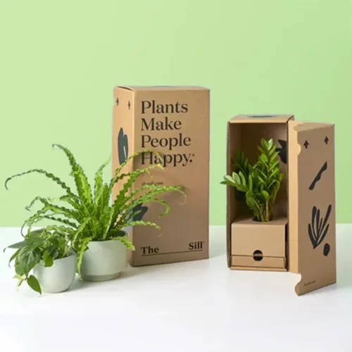 Plant Cardboard Boxes Wholesale